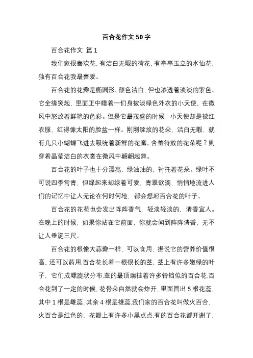 百合花作文50字