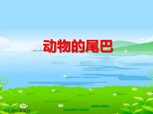 中班科学《动物的尾巴》ppt课件