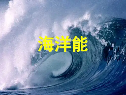 新能源技术-海洋能.