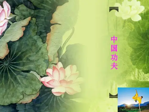 中国功夫介绍英文版