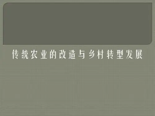 传统农业的改造与乡村转型发展