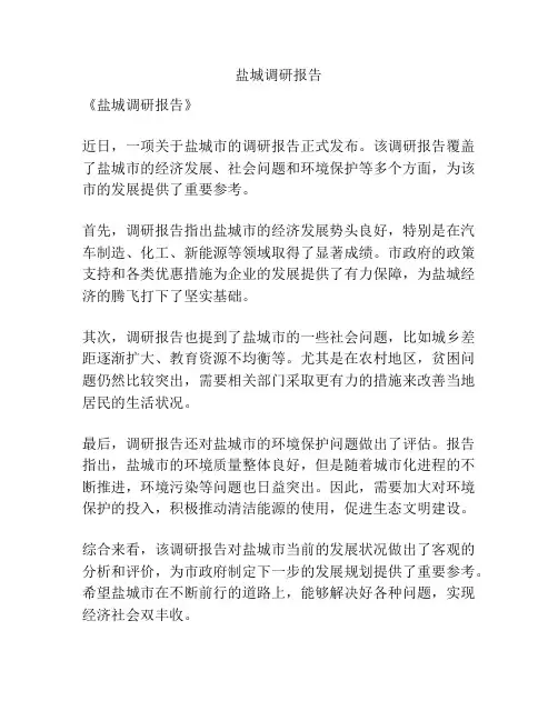 盐城调研报告
