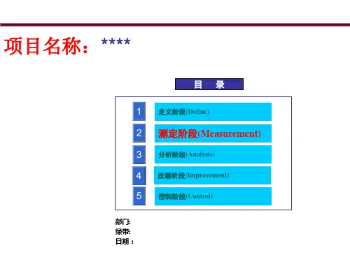 六西格玛M阶段模板