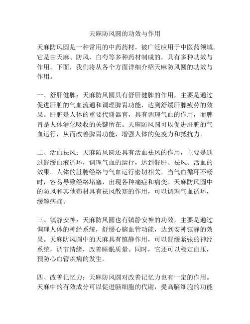 天麻防风圆的功效与作用