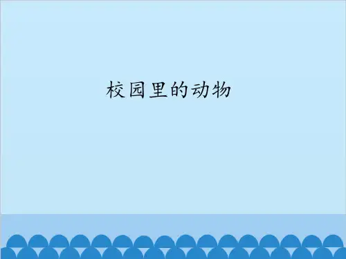 科学【冀教版】-《动物》课件-课件详解1