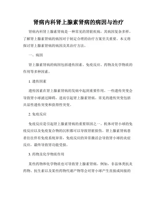 肾病内科肾上腺素肾病的病因与治疗