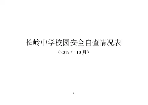 学校安全自查表【范本模板】