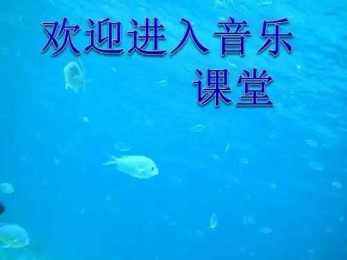 初中音乐 《雷鸣电闪波尔卡》课件PPT课件