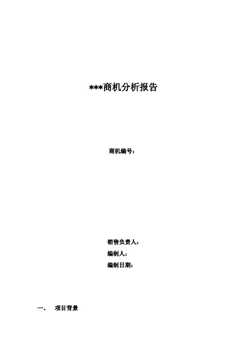 商机分析报告模板