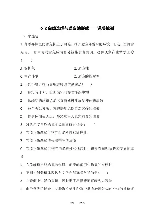 人教版高一生物 6.2自然选择与适应的形成——课后检测