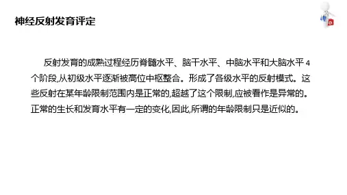 人体形态和反射评定技术 反射评定技术 神经反射