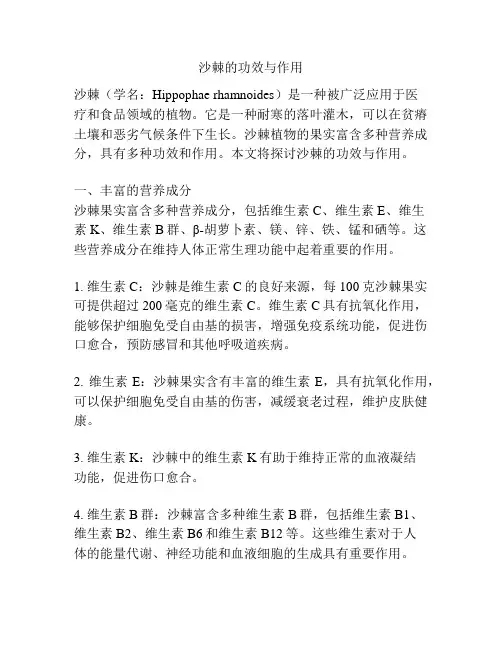 沙棘的功效与作用