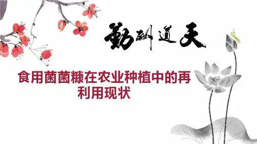 食用菌菌糠在农业种植中的再利用现状