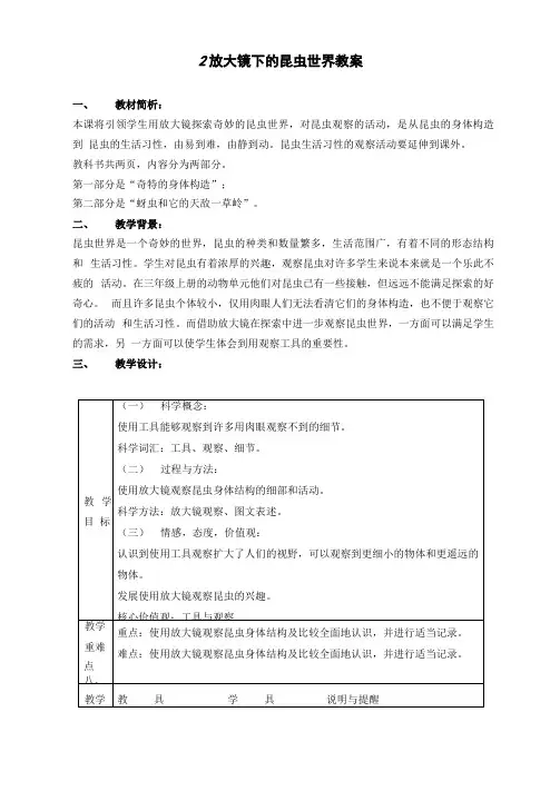 科学《放大镜下的昆虫世界》教案(三套)