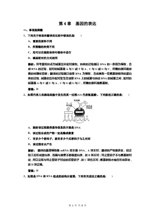 第4章 基因的表达 单元测试  (人教版必修2)