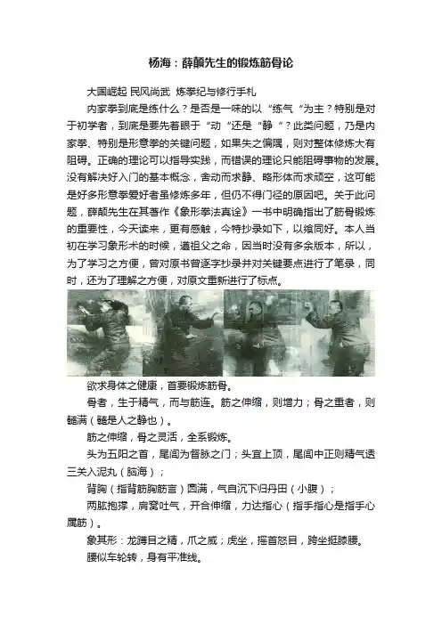 杨海：薛颠先生的锻炼筋骨论