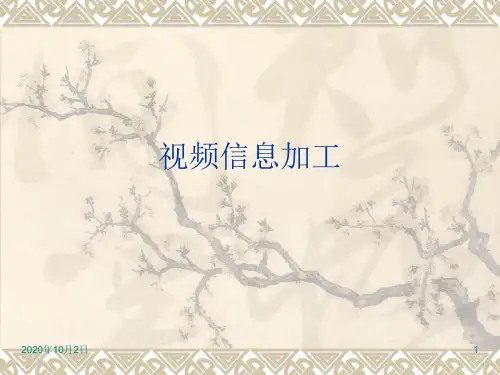 视频信息加工ppt(粤教版)选修2PPT课件