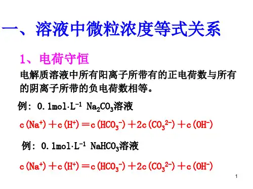 离子浓度大小比较