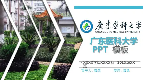 广东医科大学专用-商务风格-PPT模板3
