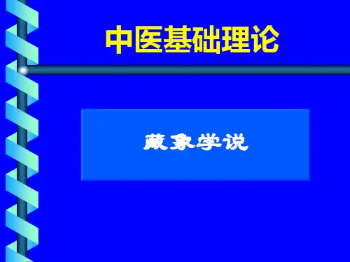五脏六腑-ma