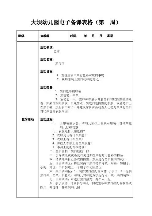 大二班艺术领域活动17黑与白