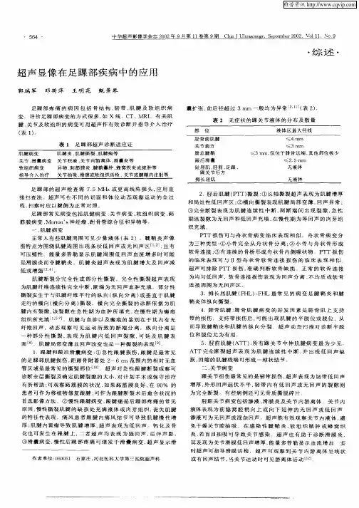 超声显像在足踝部疾病中的应用