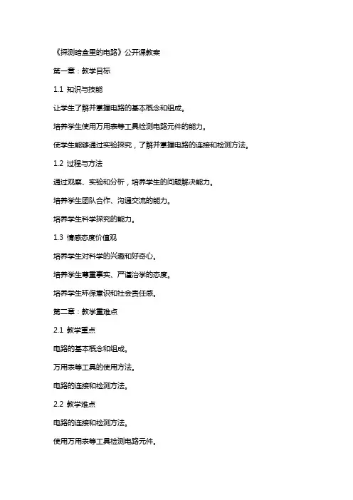 《探测暗盒里的电路》公开课教案