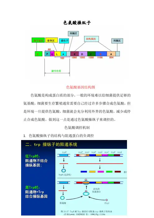 色氨酸操纵子