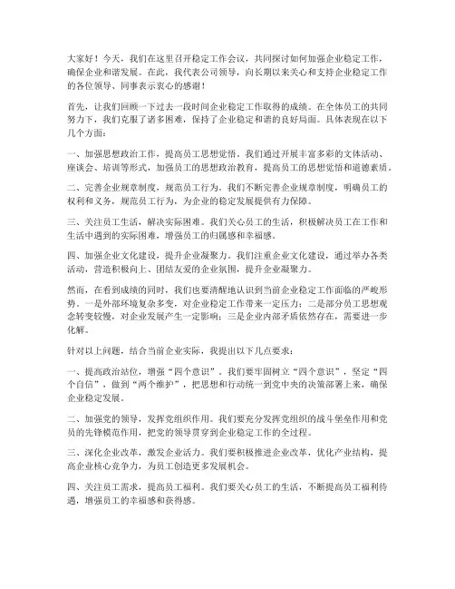 稳定工作会议领导发言稿