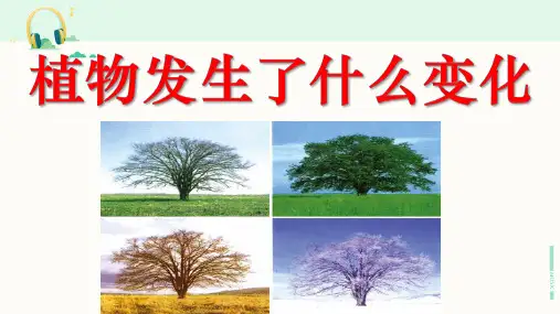 教科版科学三年级上册《植物发生了什么变化》课件