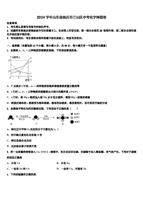 2024届山东省临沂市兰山区中考化学押题卷含解析