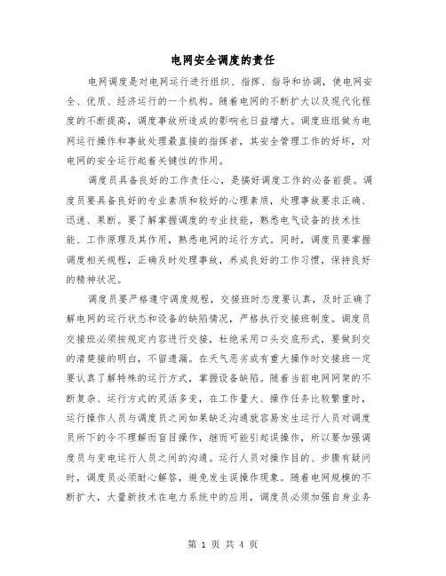 电网安全调度的责任(二篇)