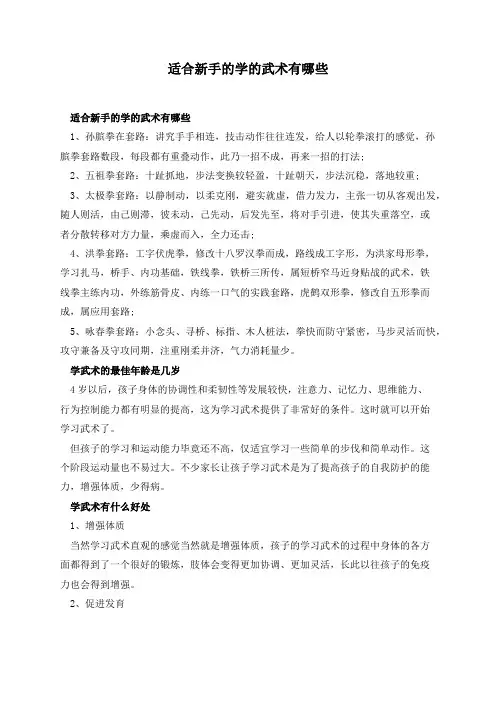 适合新手的学的武术有哪些