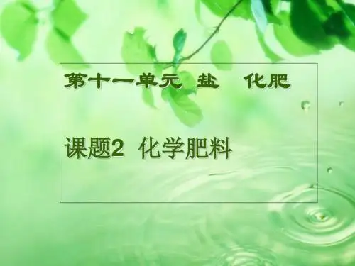 课题2 化学肥料 31页PPT文档