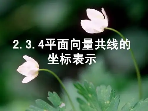 平面向量共线的坐标表示_课件