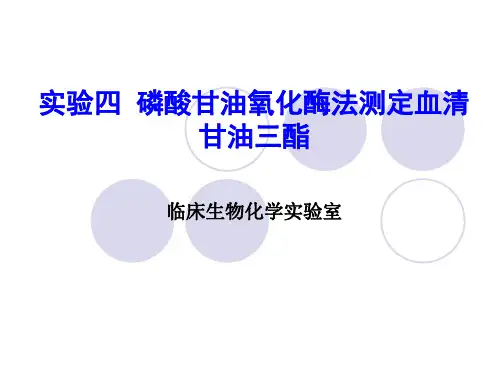 磷酸甘油氧化酶法测定血清甘油三酯PPT课件