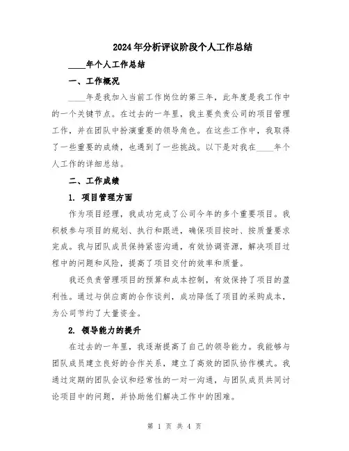 2024年分析评议阶段个人工作总结