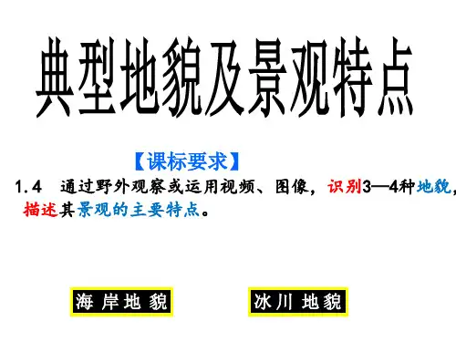典型地貌及景观特点之海岸、冰川地貌