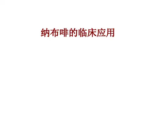 医学纳布啡的临床应用PPT培训课件