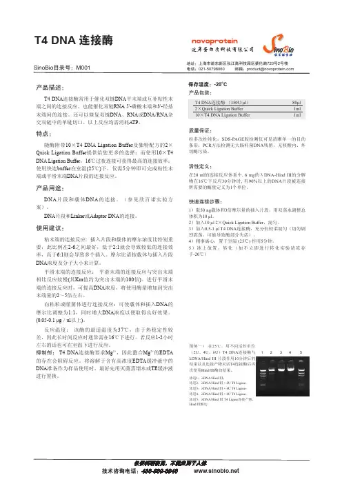T4连接酶