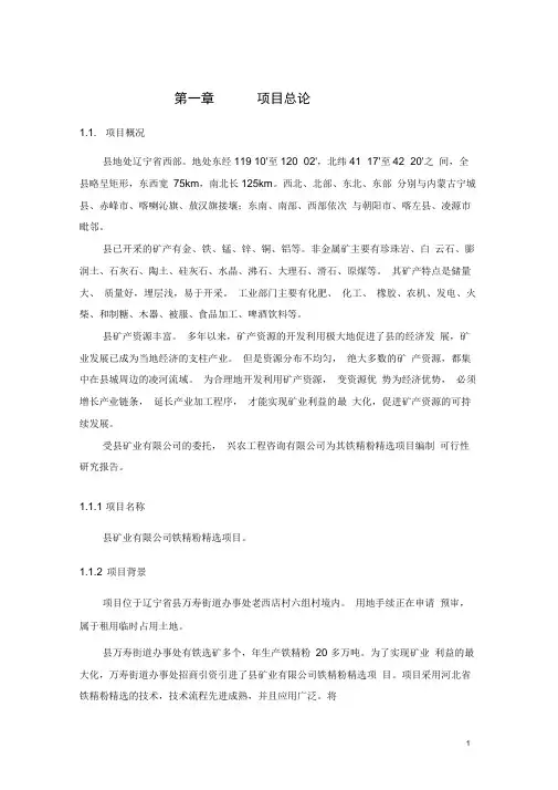 铁精粉精选项目可行性研究报告