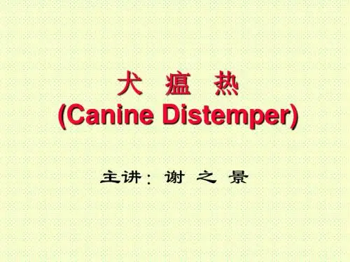 01.犬瘟热