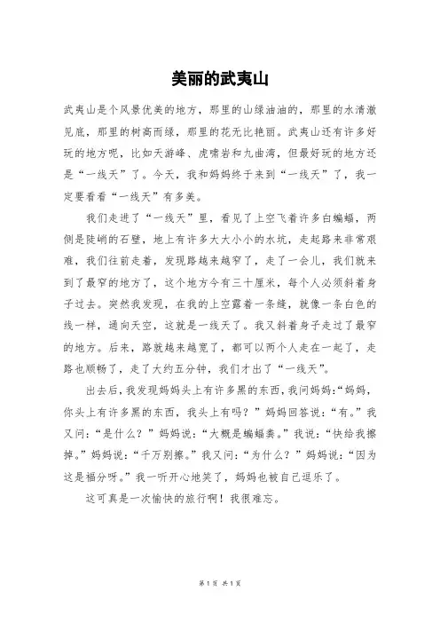 美丽的武夷山_四年级作文_1