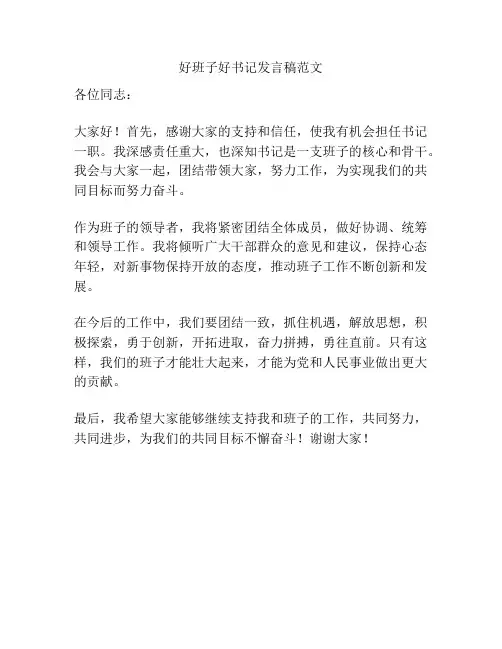 好班子好书记发言稿范文