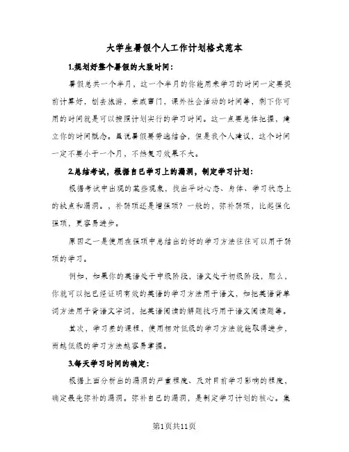 2024年大学生暑假个人工作计划格式范本（五篇）