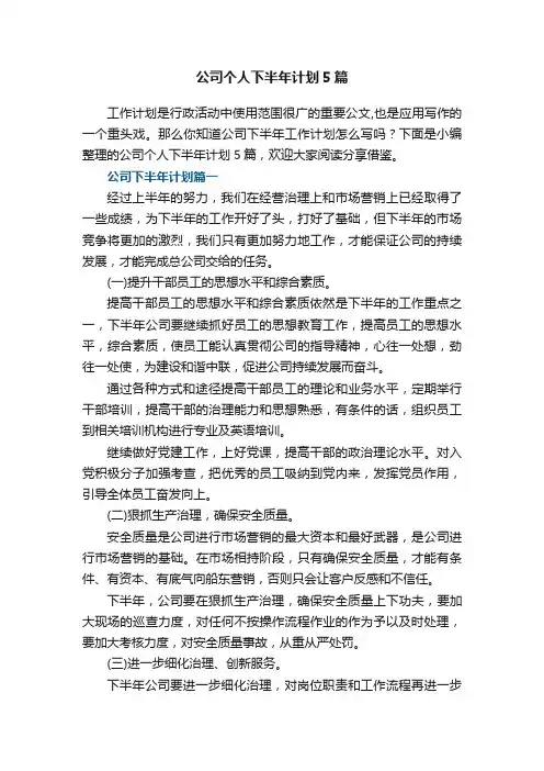公司个人下半年计划5篇
