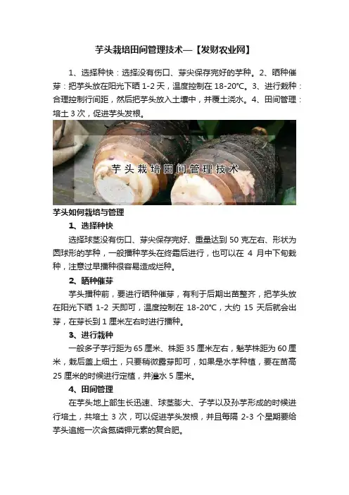 芋头栽培田间管理技术—【发财农业网】
