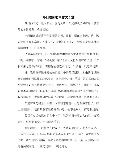 冬日暖阳初中作文5篇