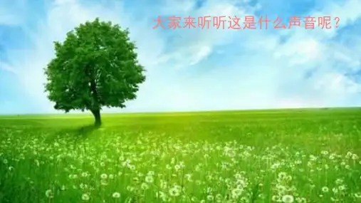 【人教版音乐】小学3三年级上册课件：爱唱歌的小杜鹃 课件 (3)