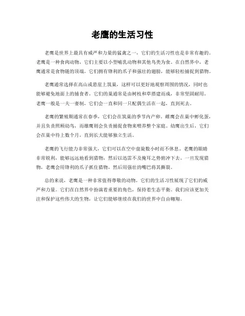 老鹰的生活习性